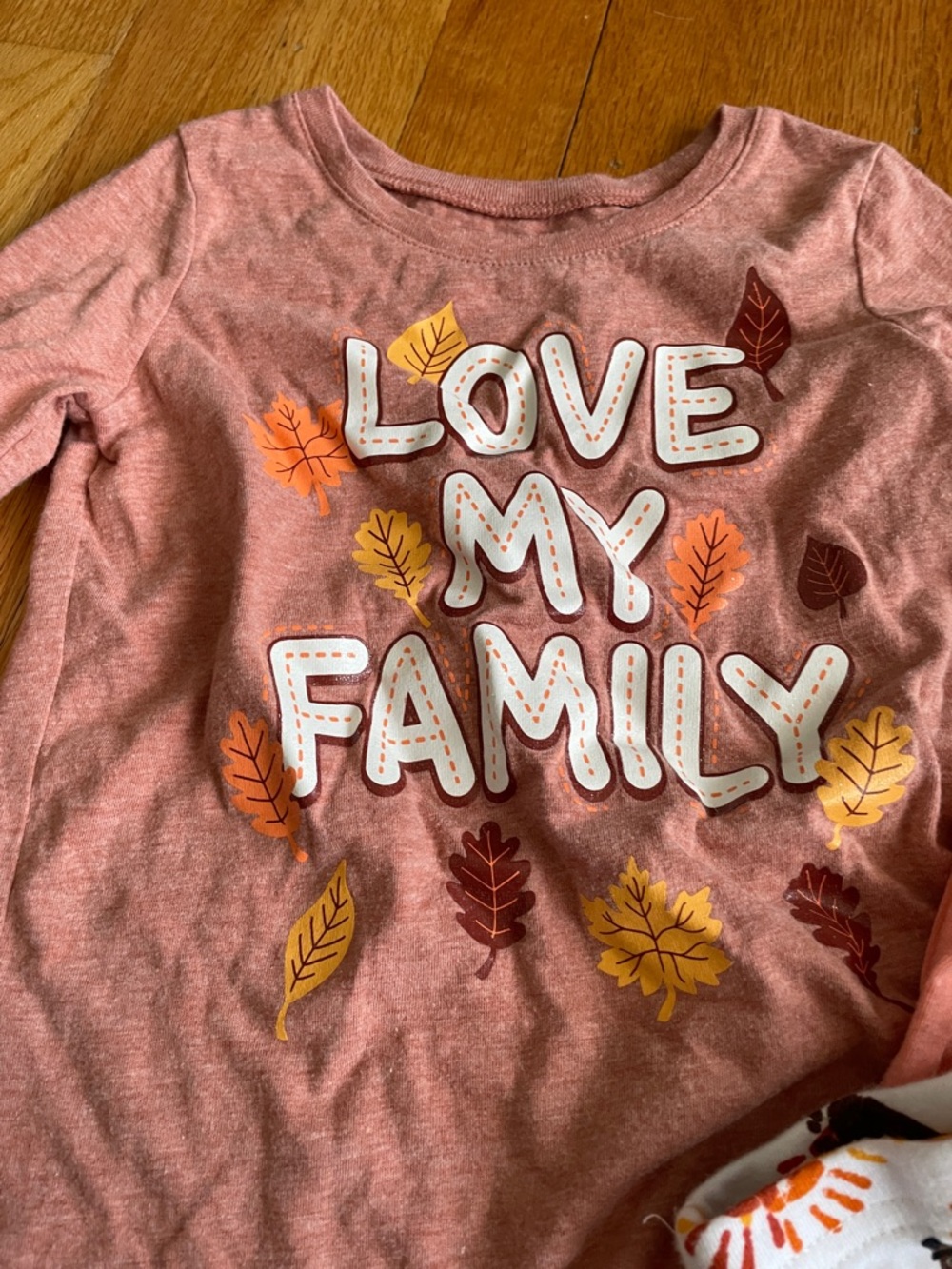 Girls Fall/Thanksgiving Bundle 5T - Picture 2 of 4